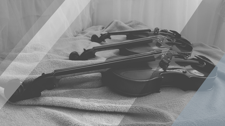 Sie möchten sich eine eigen Violine oder Viola kaufen?